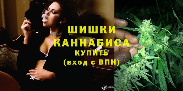 PSILOCYBIN Остров