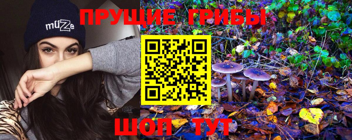 Псилоцибиновые грибы мицелий Кореновск