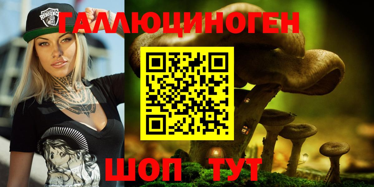 Псилоцибиновые грибы прущие грибы  Кореновск 