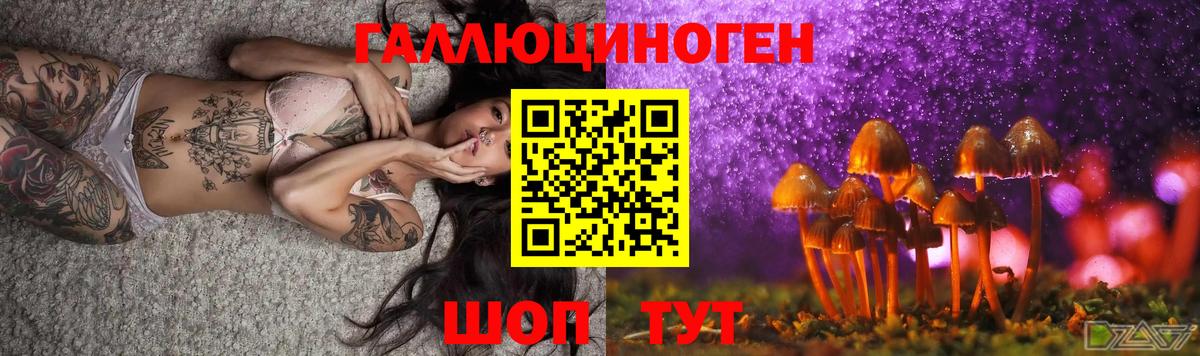 Кореновск  Псилоцибиновые грибы Psilocybine cubensis  Вход с VPN 